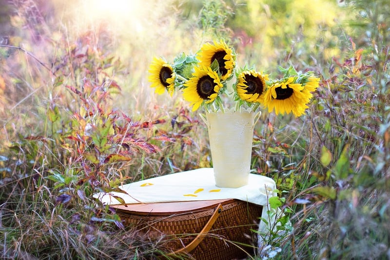 Gardening Hobby